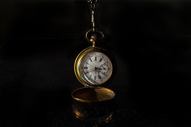 pilot's watch with dual time display showing local and Zulu time